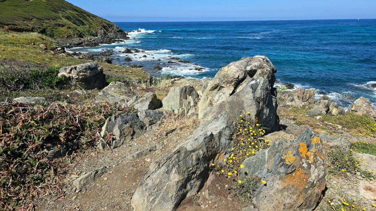Ausflugsfoto - in Ajaccio (Korsika) - Frankreich - Mittelmeer - Kreuzfahrt mit AIDAcosma - 2025