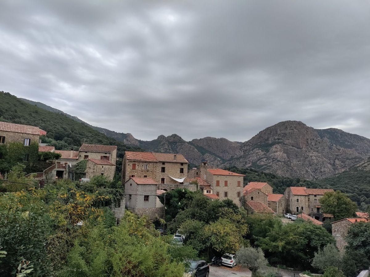 Ausflugsfoto - in Ajaccio (Korsika) - Frankreich - Mittelmeer - Kreuzfahrt mit AIDAcosma - 2024 - Bild 2