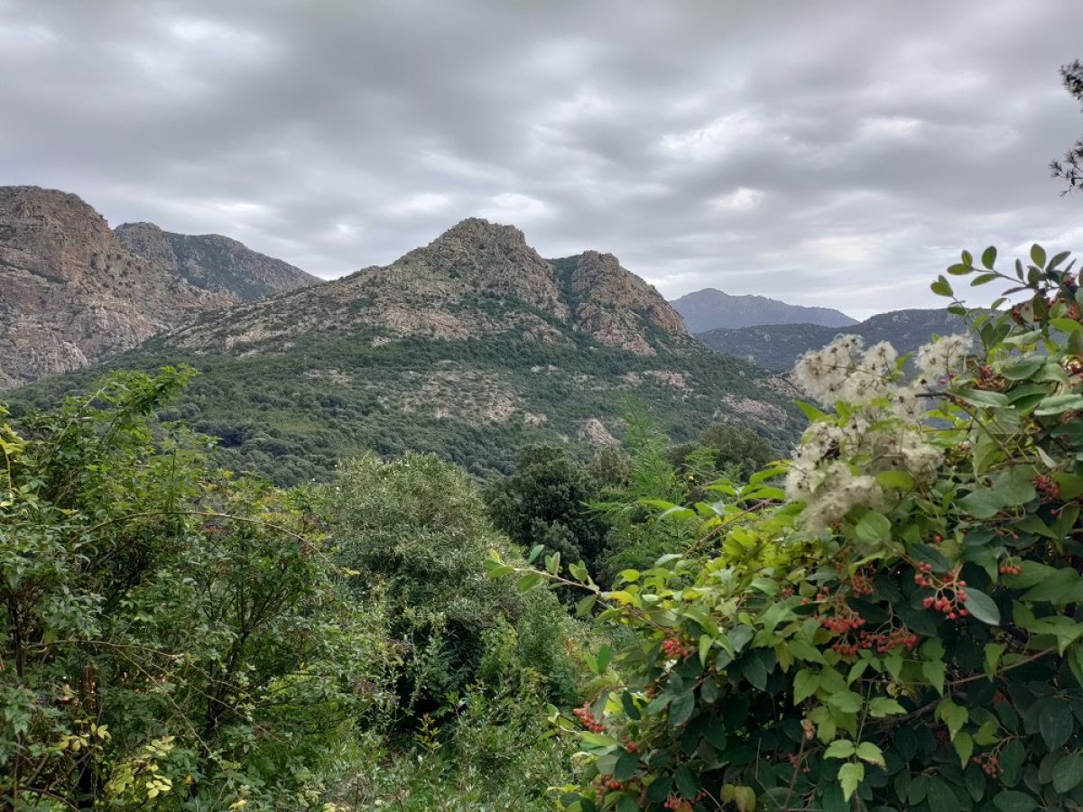 Ausflugsfoto - in Ajaccio (Korsika) - Frankreich - Mittelmeer - Kreuzfahrt mit AIDAcosma - 2024 - Bild 3