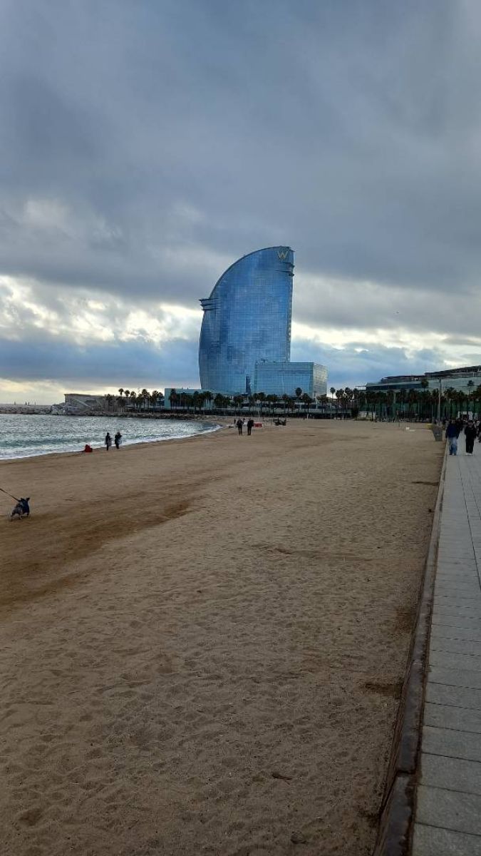 Ausflugsfoto - in Barcelona - Spanien - Mittelmeer - Kreuzfahrt mit AIDAluna - 2025