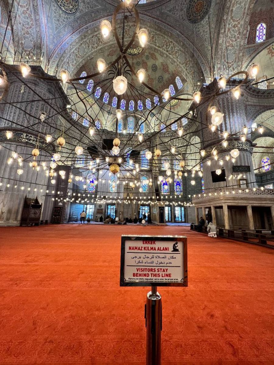 Ausflugsfoto - in Istanbul - Türkei - Mittelmeer - Kreuzfahrt mit AIDAstella - 2026 - Bild 2