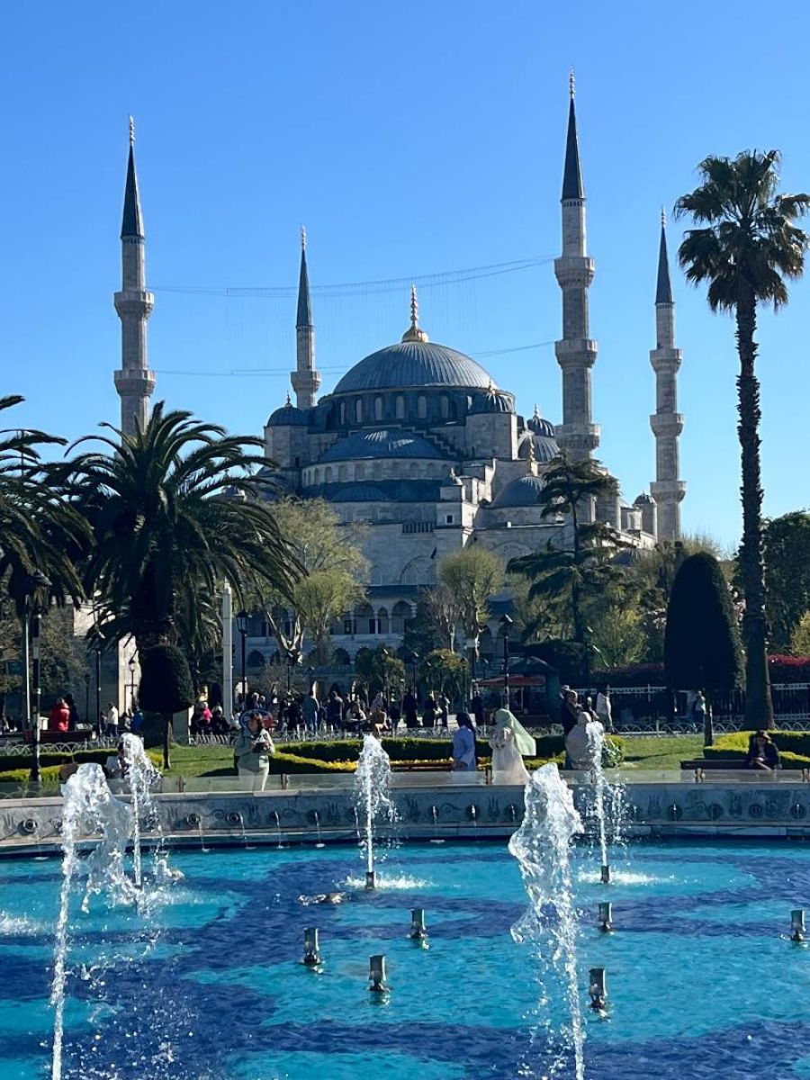 Ausflugsfoto - in Istanbul - Türkei - Mittelmeer - Kreuzfahrt mit AIDAstella - 2026 - Bild 3