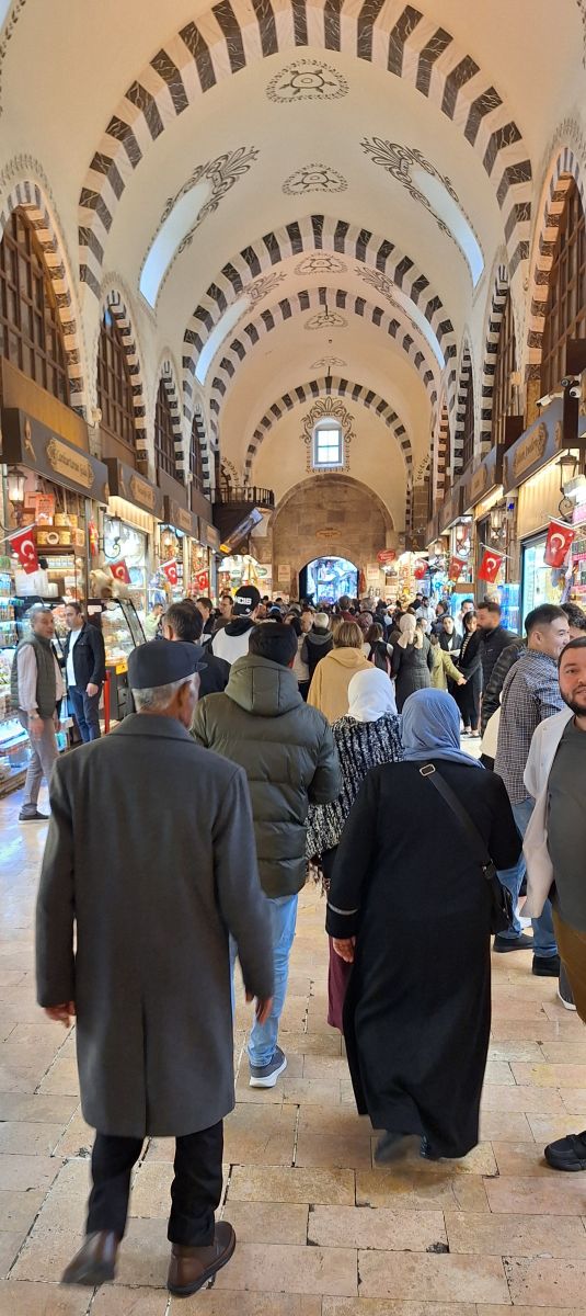 Ausflugsfoto - in Istanbul - Türkei - Mittelmeer - Kreuzfahrt mit AIDAblu - 2024