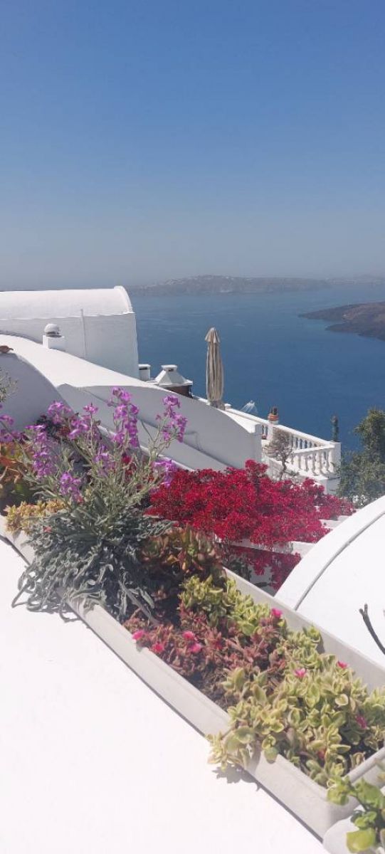 Ausflugsfoto - in Santorin - Griechenland - Mittelmeer - Kreuzfahrt mit Mein Schiff 5 - 2025 - Bild 2