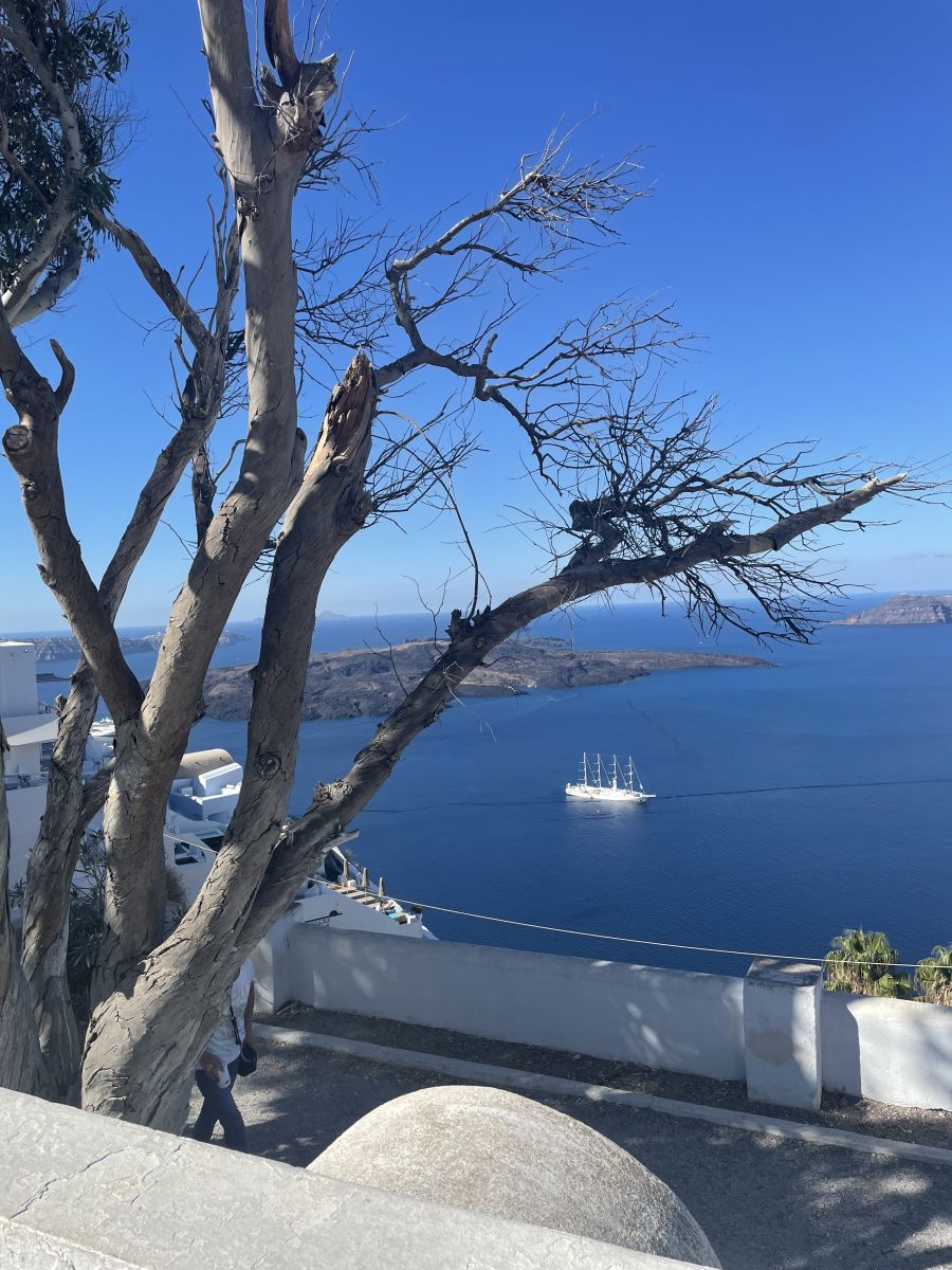 Ausflugsfoto - in Santorin - Griechenland - Mittelmeer - Kreuzfahrt mit MSC Lirica - 2024 - Bild 3