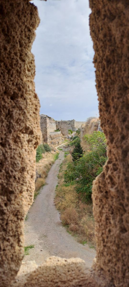 Ausflugsfoto - in Limassol - Zypern - Mittelmeer - Kreuzfahrt mit Mein Schiff 5 - 2025