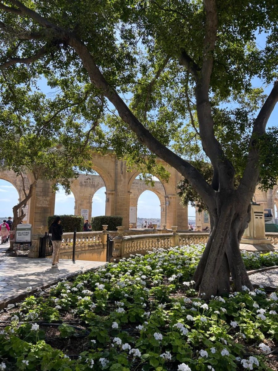 Ausflugsfoto - in Valletta - Malta - Mittelmeer - Kreuzfahrt mit AIDAdiva - 2025 - Bild 3