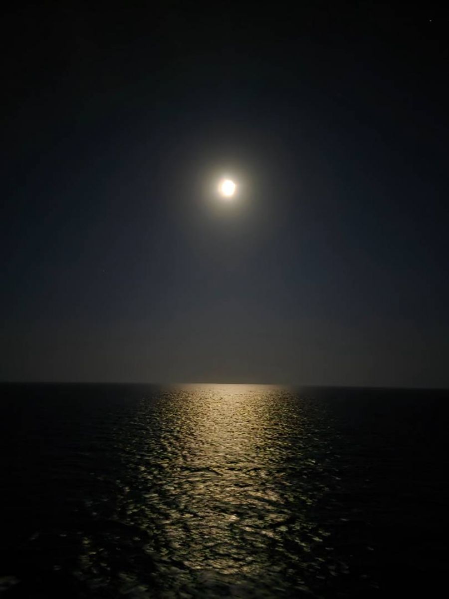 Ausflugsfoto - Kreuzfahrt mit AIDAcosma - Region Mittelmeer - 2025 - Bild 5