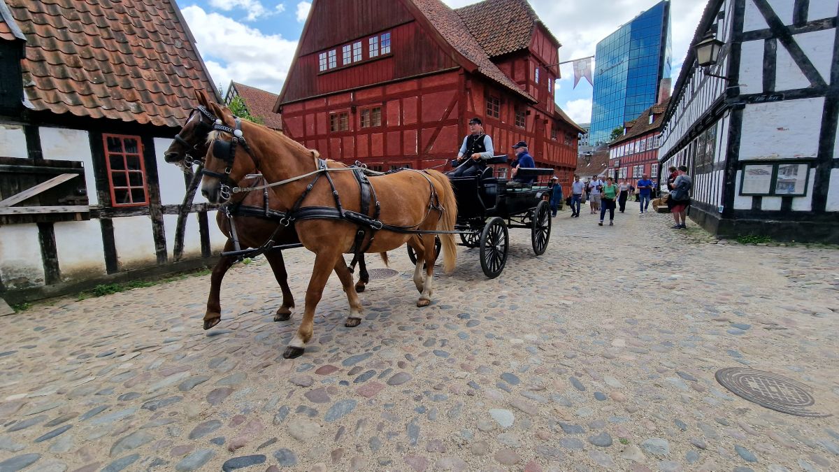 Ausflugsfoto - in Aarhus - Dänemark - Nordeuropa - Kreuzfahrt mit AIDAnova - 2024