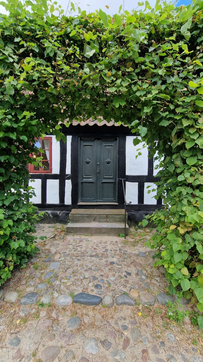 Ausflugsfoto - in Aarhus - Dänemark - Nordeuropa - Kreuzfahrt mit AIDAnova - 2024 - Bild 3