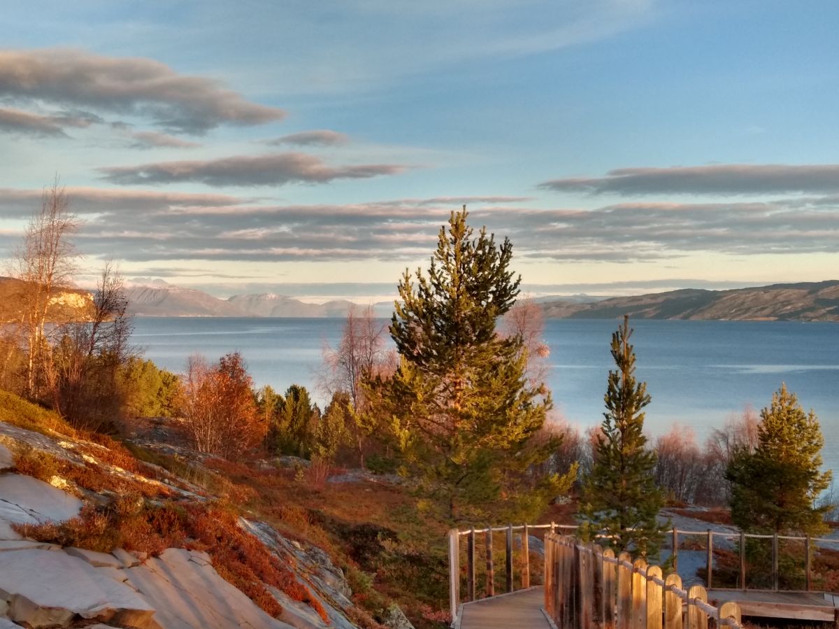 Ausflugsfoto - in Alta - Norwegen - Nordeuropa - Kreuzfahrt mit AIDAbella - 2024