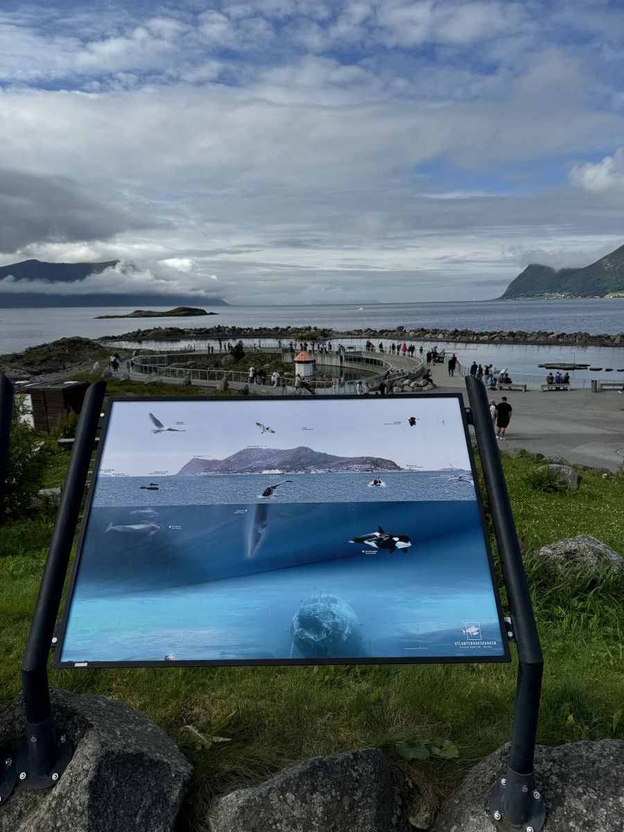 Ausflugsfoto - in Ålesund - Norwegen - Nordeuropa - Kreuzfahrt mit AIDAprima - 2024