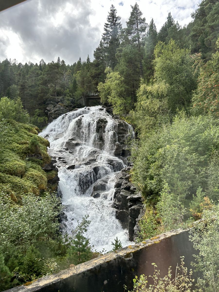 Ausflugsfoto - in Åndalsnes - Norwegen - Nordeuropa - Kreuzfahrt mit AIDAbella - 2024