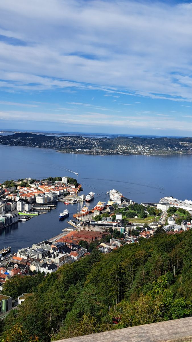 Ausflugsfoto - in Bergen - Norwegen - Nordeuropa - Kreuzfahrt mit AIDAperla - 2025 - Bild 3