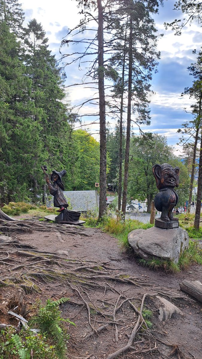 Ausflugsfoto - in Bergen - Norwegen - Nordeuropa - Kreuzfahrt mit AIDAperla - 2025 - Bild 5