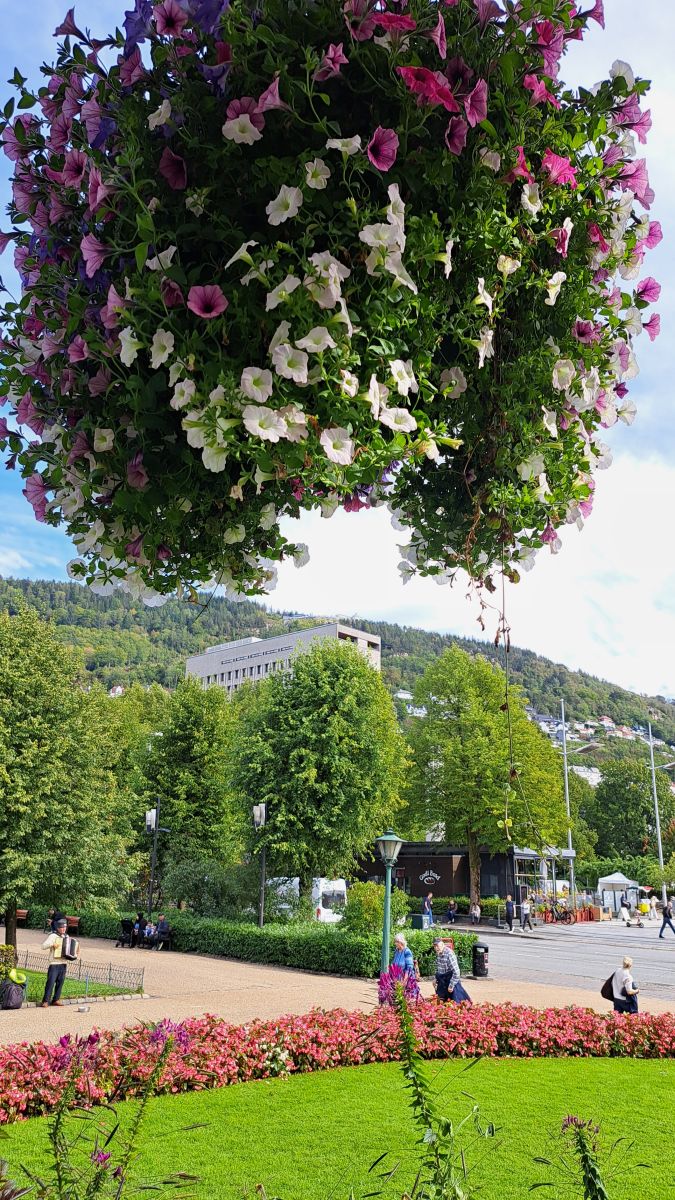 Ausflugsfoto - in Bergen - Norwegen - Nordeuropa - Kreuzfahrt mit AIDAperla - 2025 - Bild 8