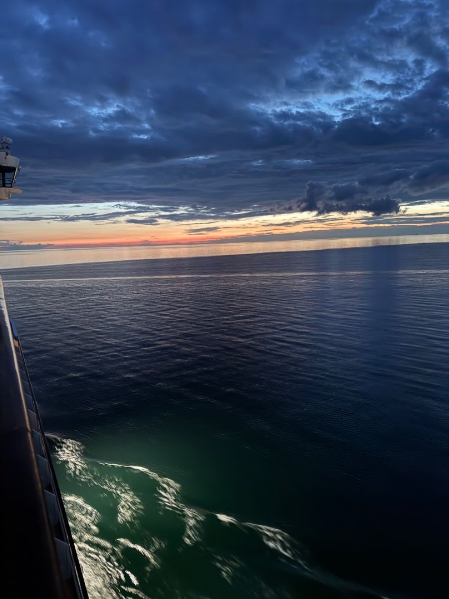 Ausflugsfoto - in Kopenhagen - Dänemark - Nordeuropa - Kreuzfahrt mit AIDAmar - 2025 - Bild 2