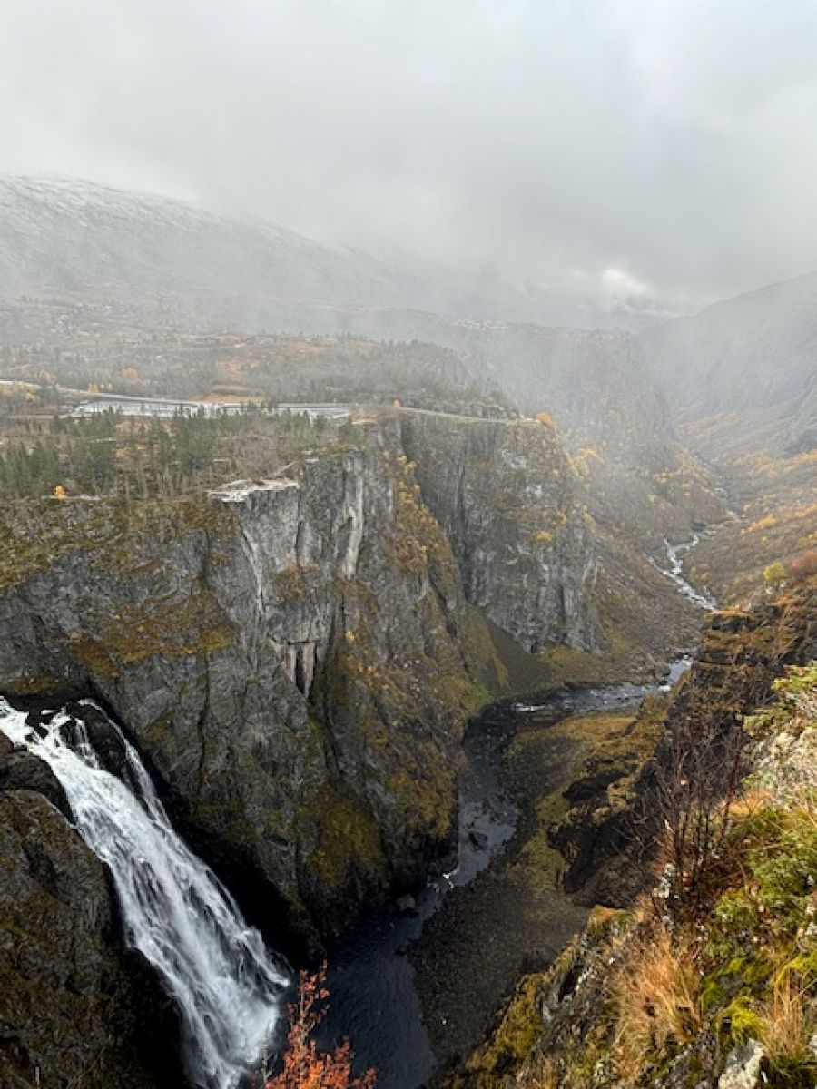 Ausflugsfoto - in Eidfjord - Norwegen - Nordeuropa - Kreuzfahrt mit AIDAsol - 2024