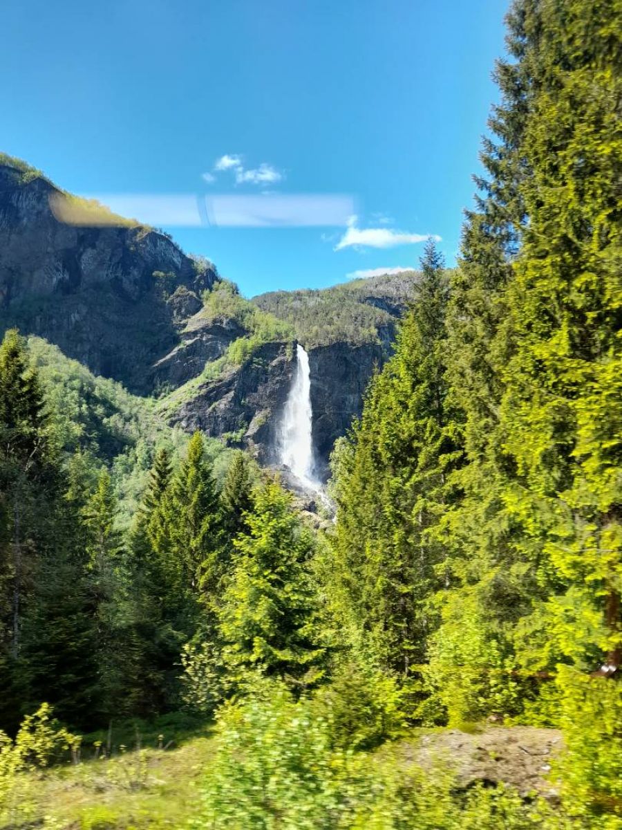 Ausflugsfoto - in Flåm - Norwegen - Nordeuropa - Kreuzfahrt mit AIDAprima - 2025