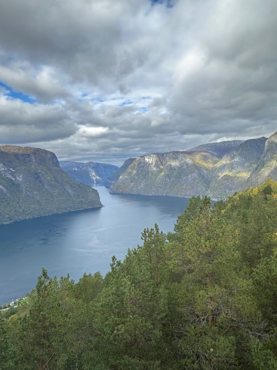 Ausflugsfoto - in Flåm - Norwegen - Nordeuropa - Kreuzfahrt mit AIDAprima - 2025