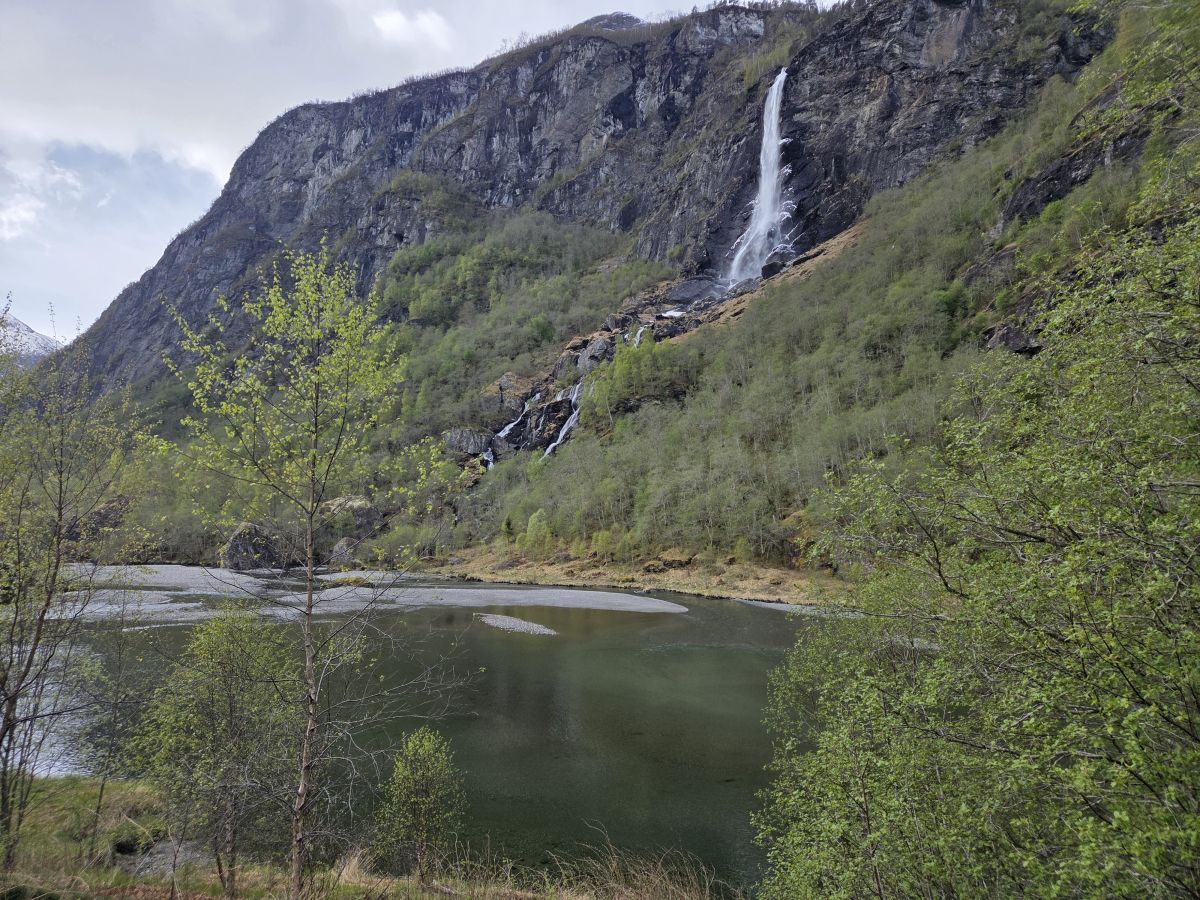 Ausflugsfoto - in Flåm - Norwegen - Nordeuropa - Kreuzfahrt mit AIDAnova - 2026 - Bild 4