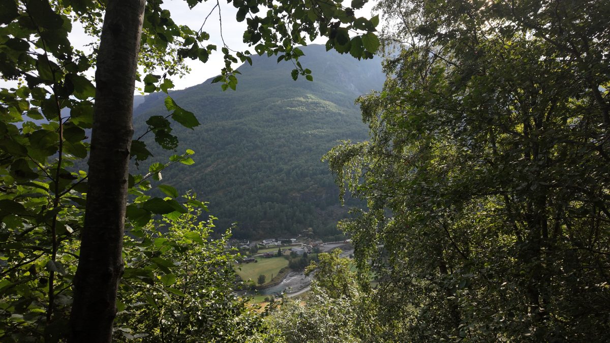 Ausflugsfoto - in Flåm - Norwegen - Nordeuropa - Kreuzfahrt mit AIDAprima - 2026 - Bild 7