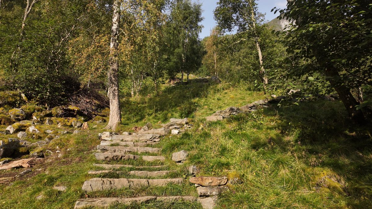 Ausflugsfoto - in Flåm - Norwegen - Nordeuropa - Kreuzfahrt mit AIDAprima - 2026 - Bild 8