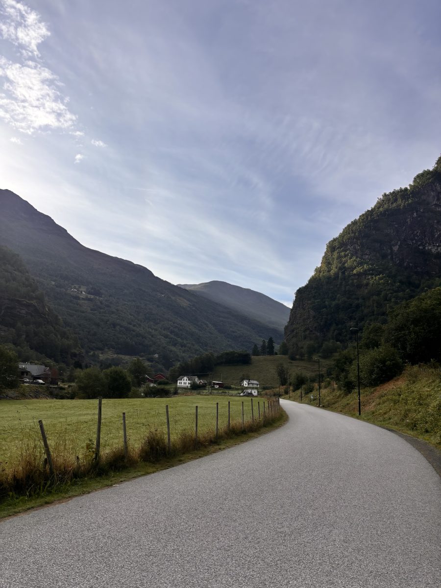 Ausflugsfoto - in Flåm - Norwegen - Nordeuropa - Kreuzfahrt mit AIDAprima - 2026 - Bild 9