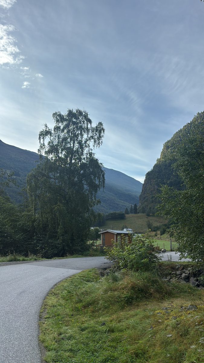Ausflugsfoto - in Flåm - Norwegen - Nordeuropa - Kreuzfahrt mit AIDAprima - 2026 - Bild 10