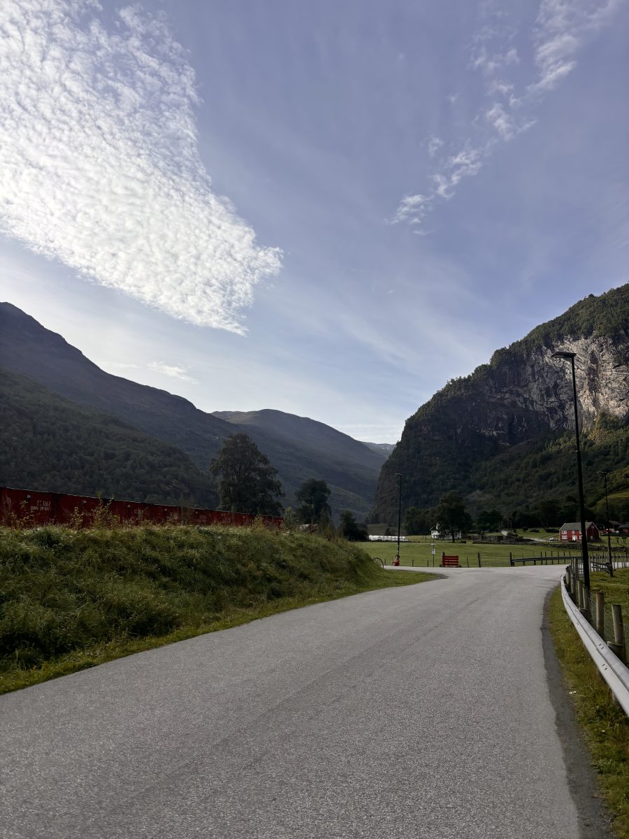 Ausflugsfoto - in Flåm - Norwegen - Nordeuropa - Kreuzfahrt mit AIDAprima - 2026 - Bild 12