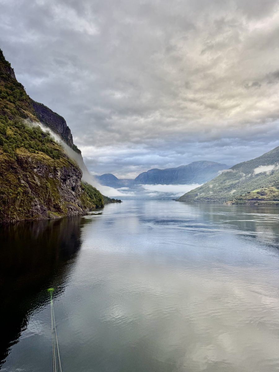 Ausflugsfoto - in Flåm - Norwegen - Nordeuropa - Kreuzfahrt mit AIDAprima - 2026 - Bild 4