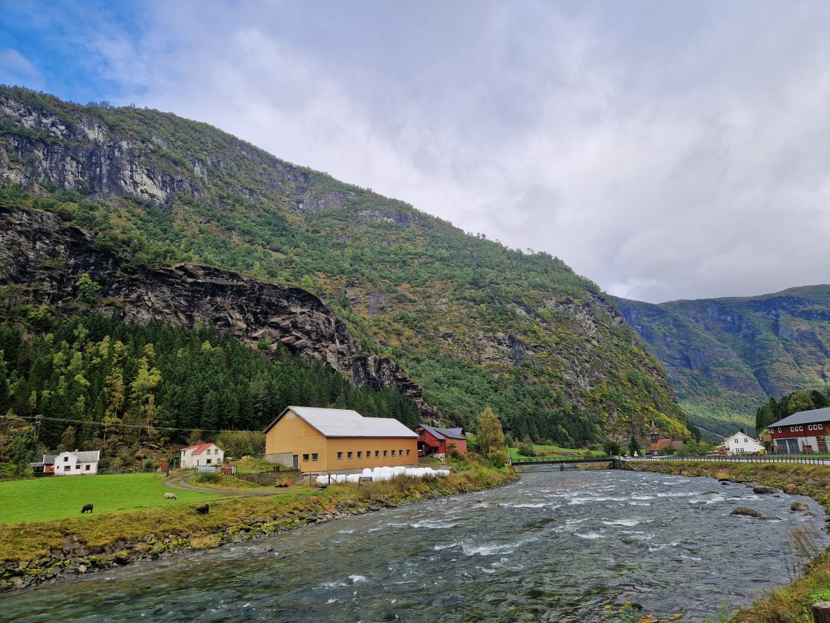 Ausflugsfoto - in Flåm - Norwegen - Nordeuropa - Kreuzfahrt mit AIDAnova - 2026 - Bild 3