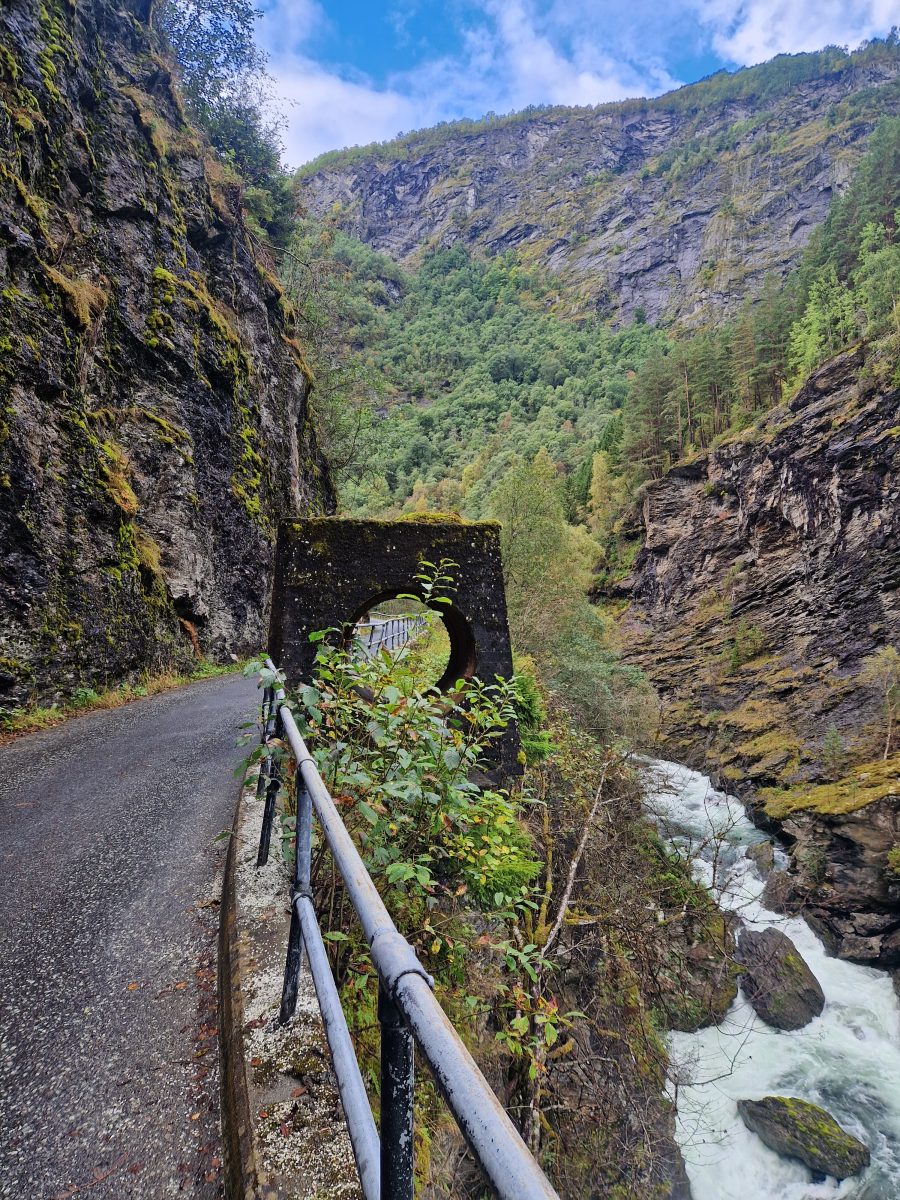 Ausflugsfoto - in Flåm - Norwegen - Nordeuropa - Kreuzfahrt mit AIDAnova - 2026 - Bild 4