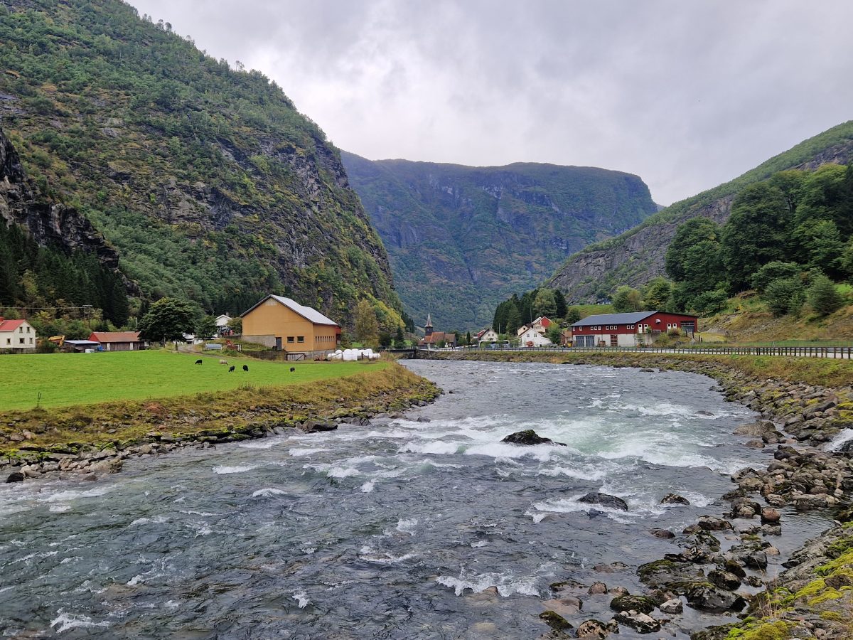 Ausflugsfoto - in Flåm - Norwegen - Nordeuropa - Kreuzfahrt mit AIDAnova - 2026 - Bild 6