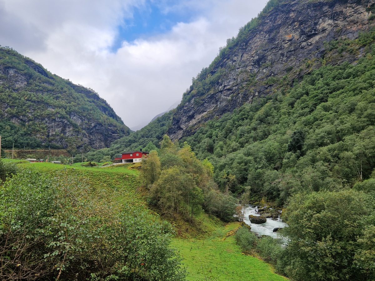 Ausflugsfoto - in Flåm - Norwegen - Nordeuropa - Kreuzfahrt mit AIDAnova - 2026 - Bild 7