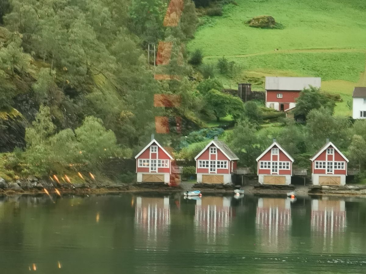Ausflugsfoto - in Flåm - Norwegen - Nordeuropa - Kreuzfahrt mit AIDAnova - 2024