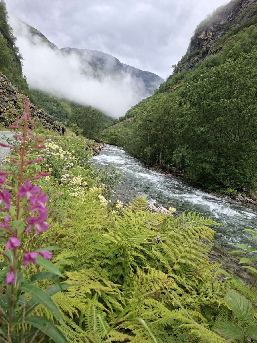 Ausflugsfoto - in Geirangerfjord - Norwegen - Nordeuropa - Kreuzfahrt mit AIDAprima - 2026 - Bild 2