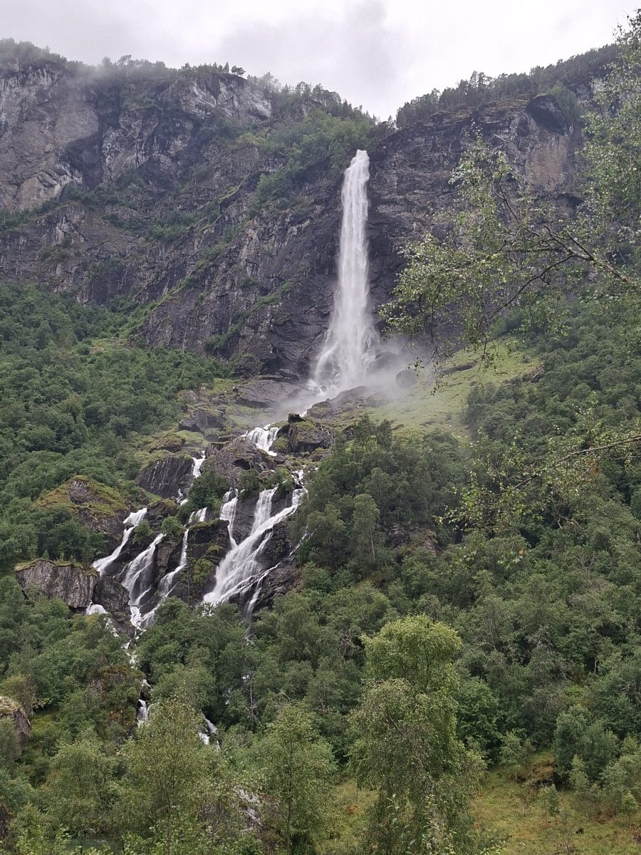 Ausflugsfoto - in Geirangerfjord - Norwegen - Nordeuropa - Kreuzfahrt mit AIDAprima - 2026 - Bild 3