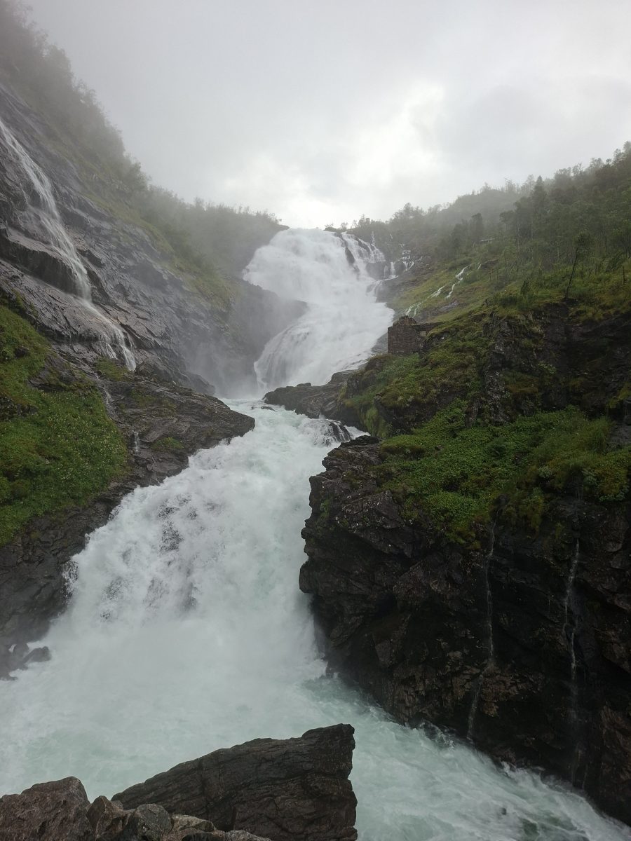 Ausflugsfoto - in Geirangerfjord - Norwegen - Nordeuropa - Kreuzfahrt mit AIDAprima - 2026 - Bild 4