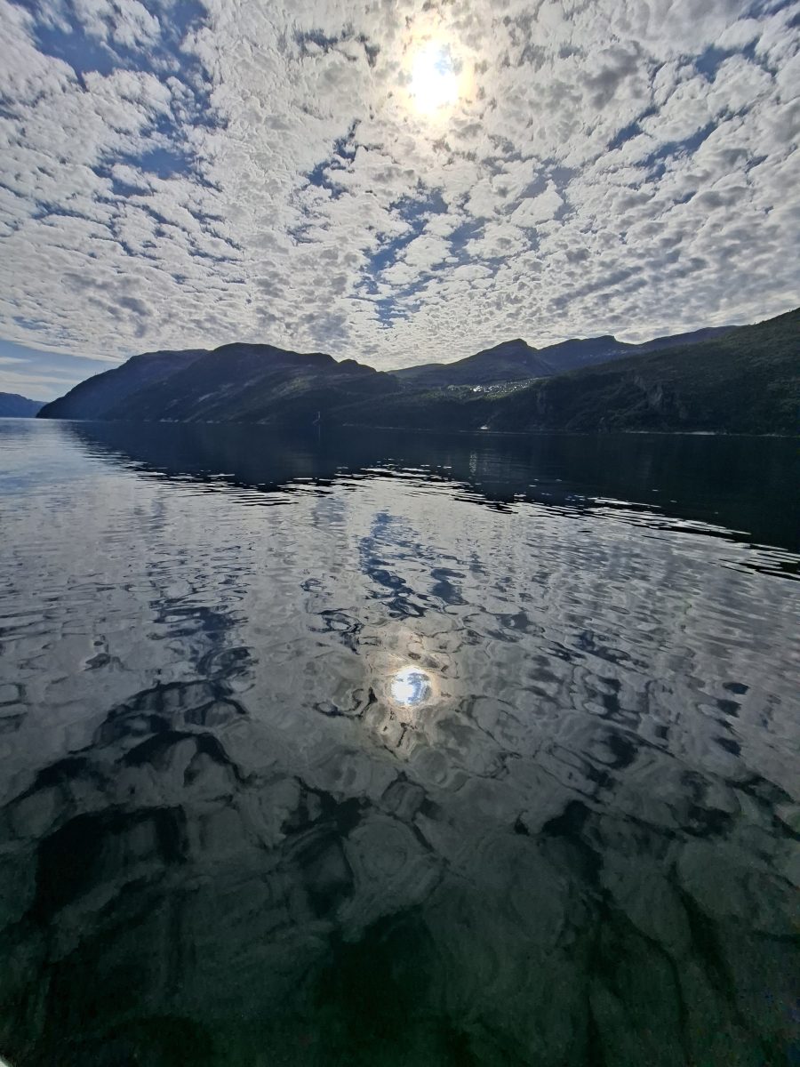 Ausflugsfoto - in Geirangerfjord - Norwegen - Nordeuropa - Kreuzfahrt mit AIDAprima - 2026 - Bild 11