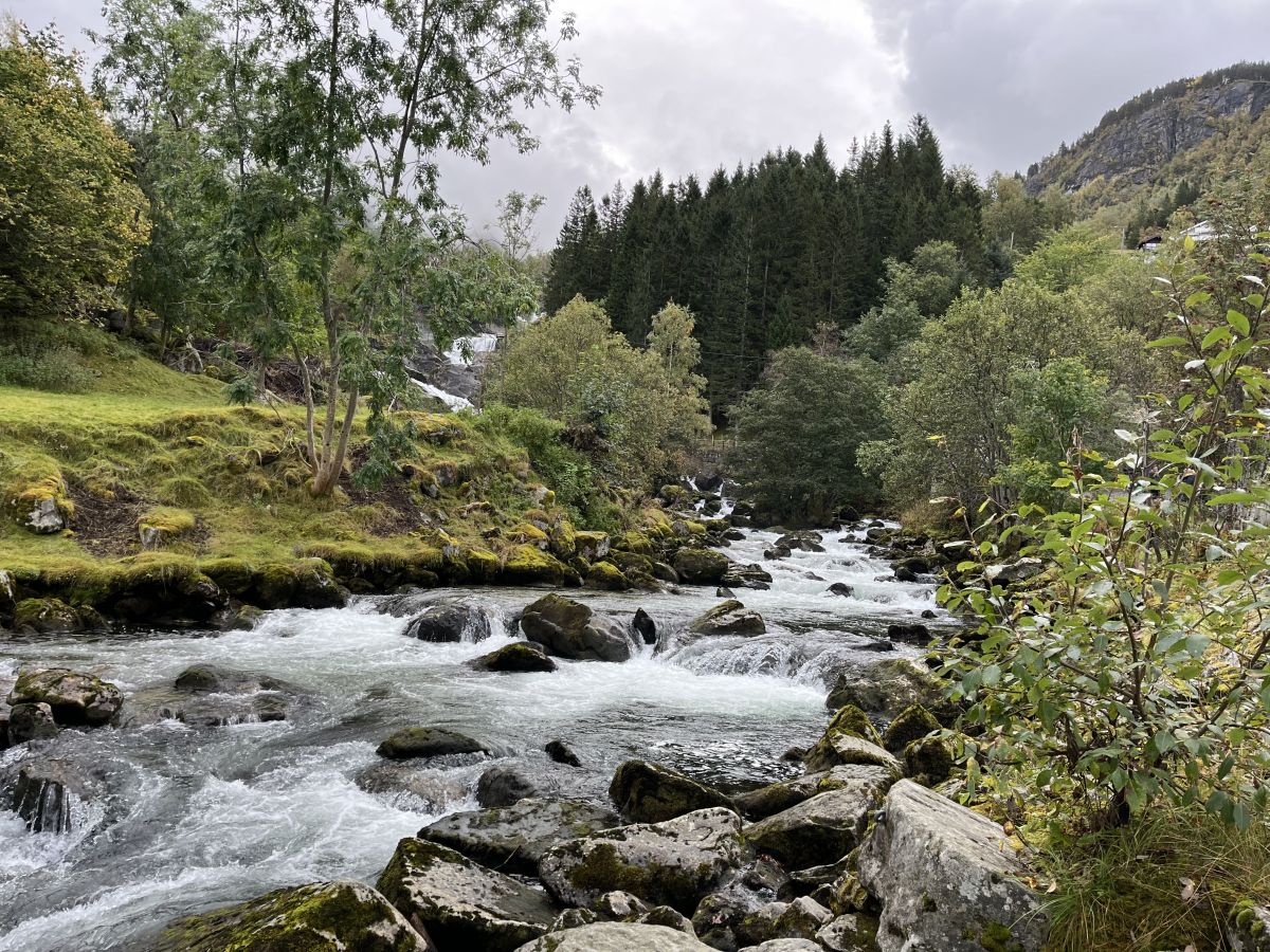 Ausflugsfoto - in Geirangerfjord - Norwegen - Nordeuropa - Kreuzfahrt mit AIDAprima - 2024 - Bild 3