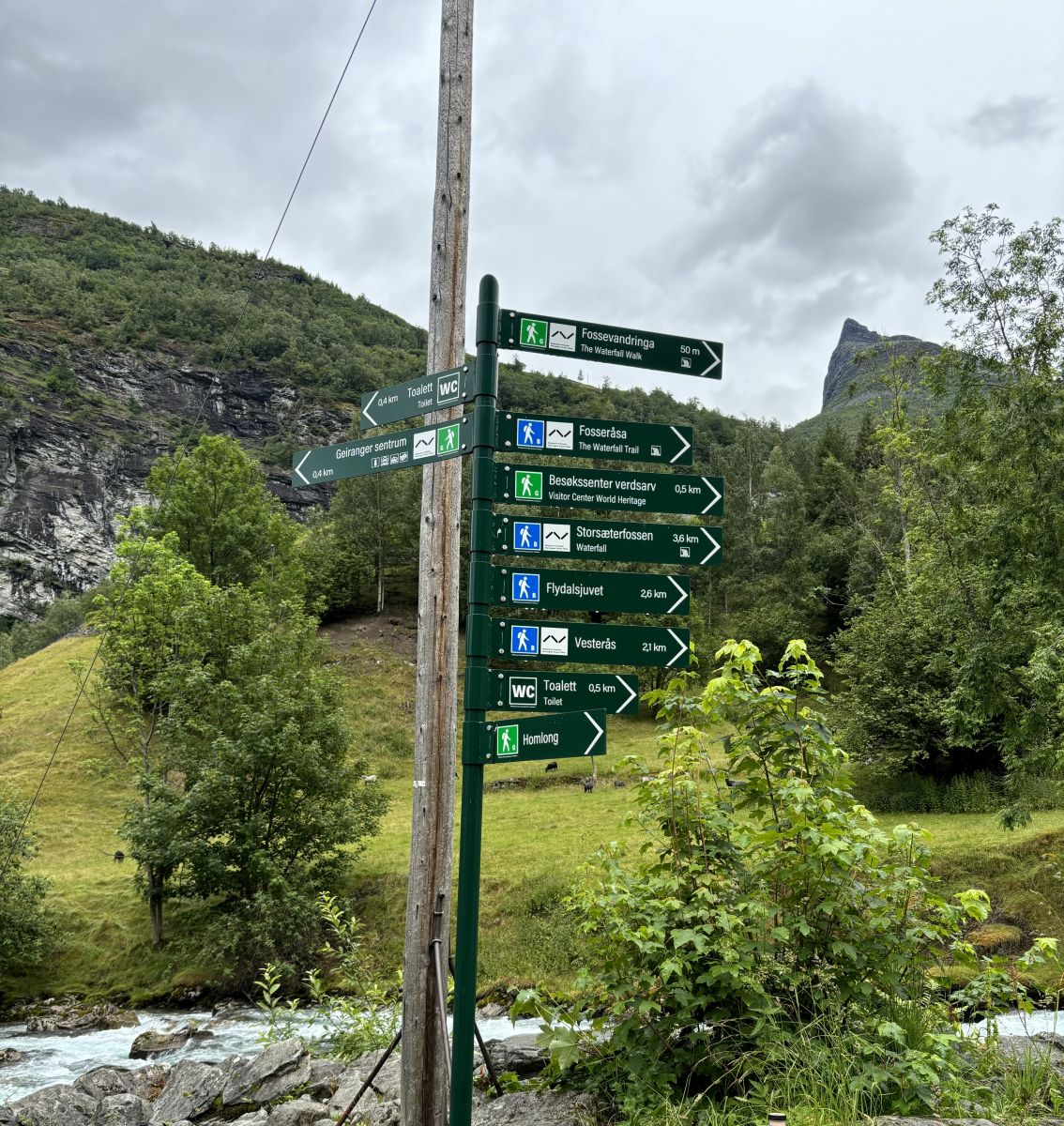 Ausflugsfoto - in Geirangerfjord - Norwegen - Nordeuropa - Kreuzfahrt mit AIDAprima - 2024