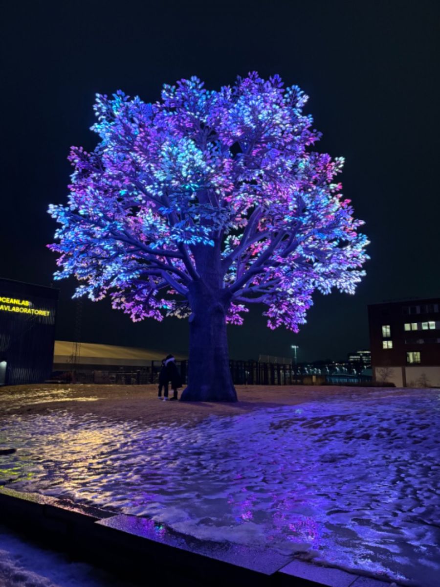 Ausflugsfoto - in Kristiansand - Norwegen - Nordeuropa - Kreuzfahrt mit AIDAnova - 2025 - Bild 3