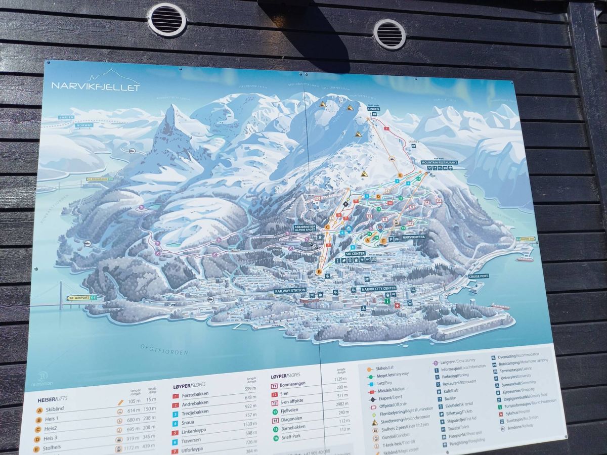 Ausflugsfoto - in Narvik - Norwegen - Nordeuropa - Kreuzfahrt mit AIDAbella - 2025 - Bild 2