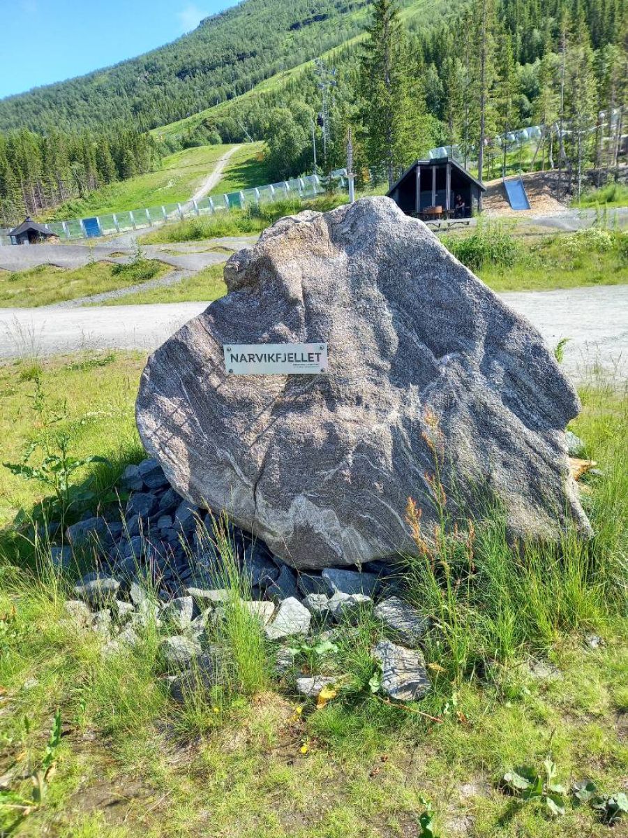 Ausflugsfoto - in Narvik - Norwegen - Nordeuropa - Kreuzfahrt mit AIDAbella - 2025 - Bild 4