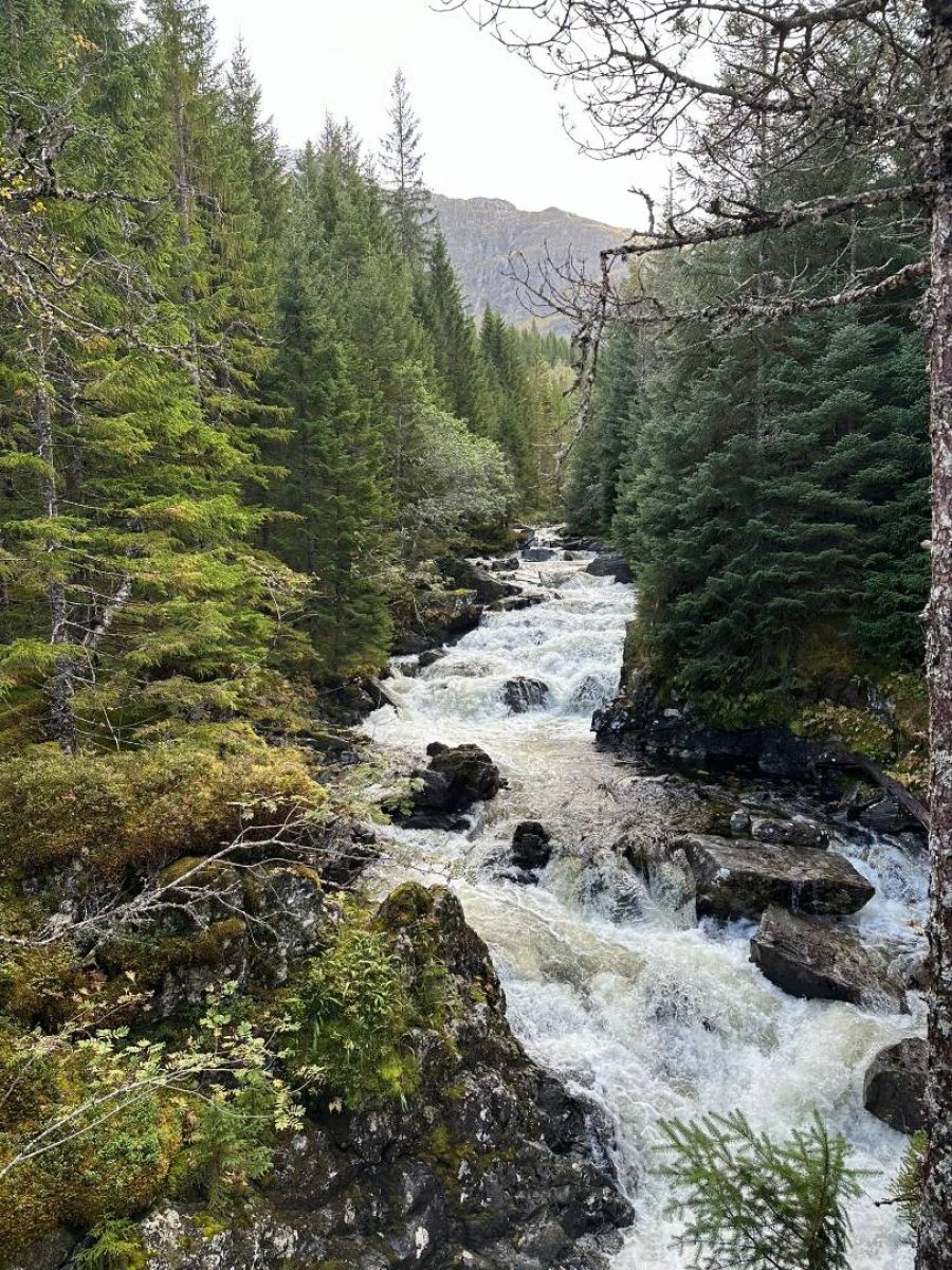 Ausflugsfoto - in Nordfjordeid - Norwegen - Nordeuropa - Kreuzfahrt mit AIDAperla - 2025 - Bild 3