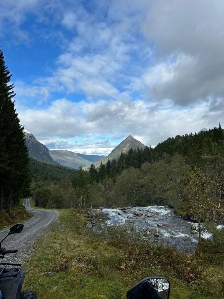 Ausflugsfoto - in Nordfjordeid - Norwegen - Nordeuropa - Kreuzfahrt mit AIDAperla - 2025 - Bild 4