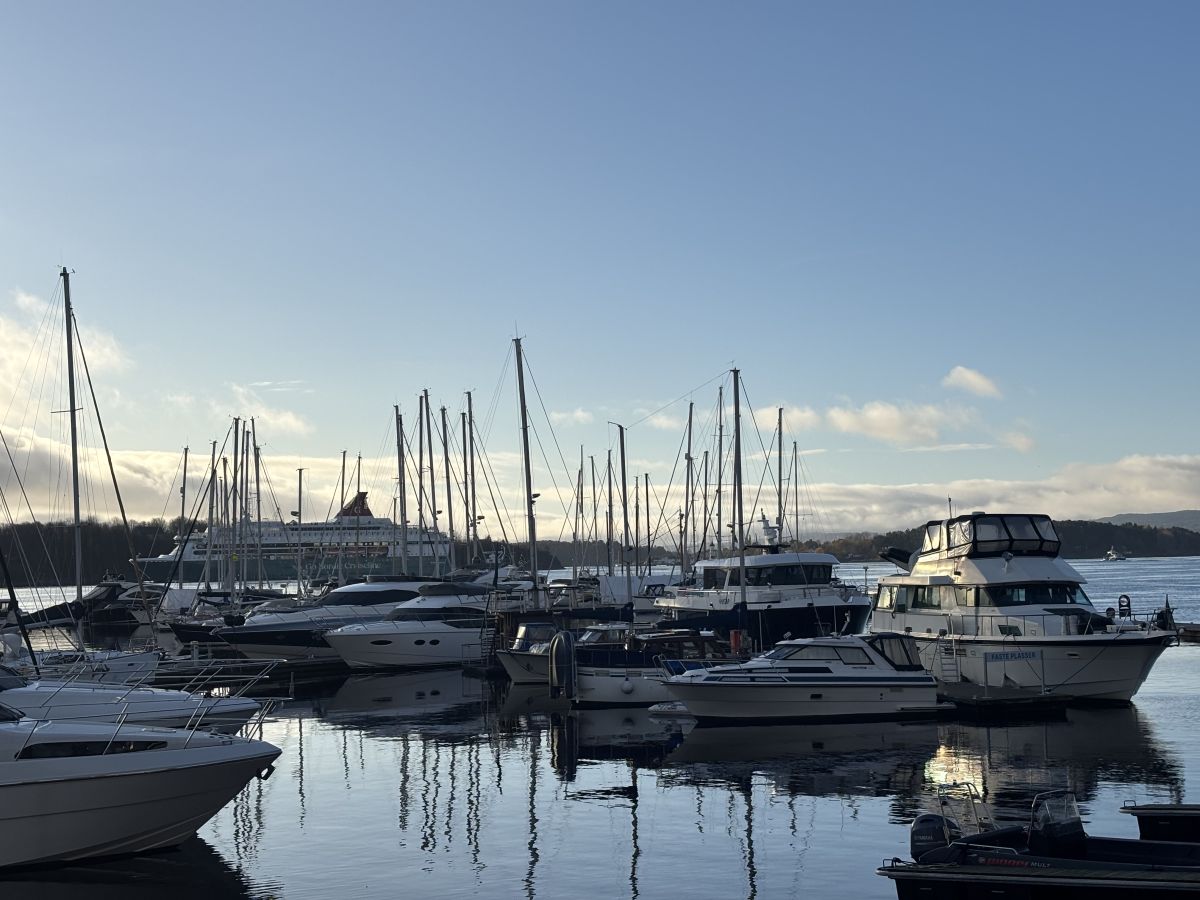 Ausflugsfoto - in Oslo - Norwegen - Nordeuropa - Kreuzfahrt mit AIDAdiva - 2025