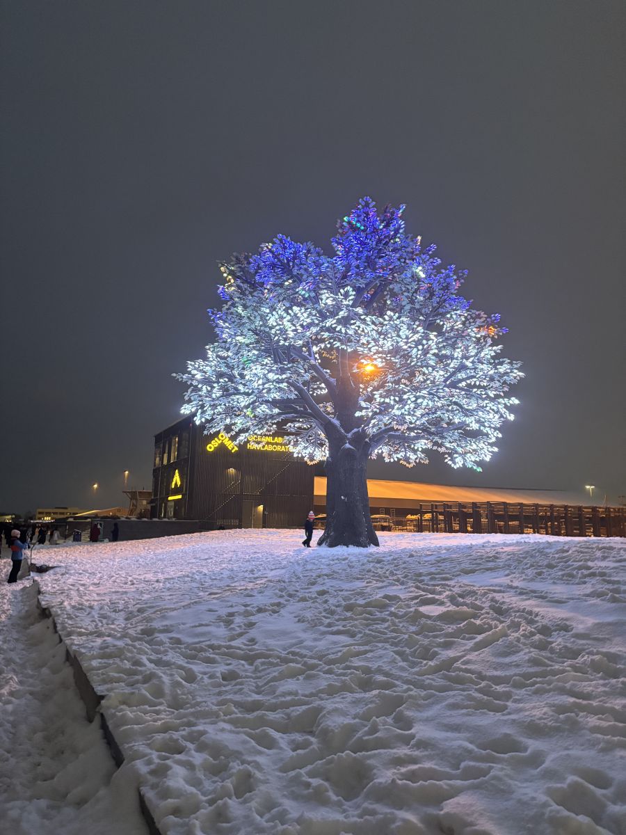 Ausflugsfoto - in Oslo - Norwegen - Nordeuropa - Kreuzfahrt mit AIDAnova - 2026 - Bild 4