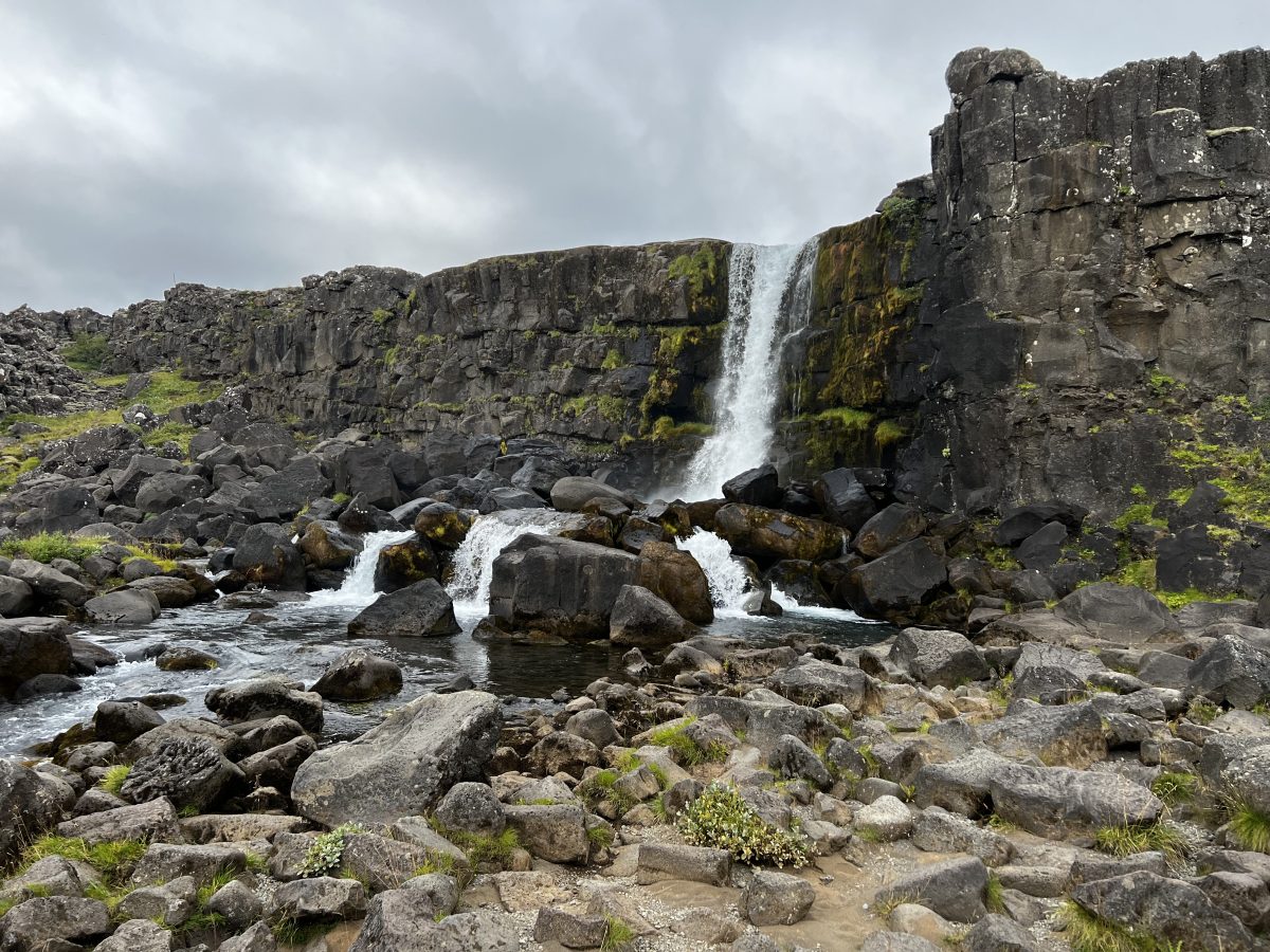 Ausflugsfoto - in Reykjavík - Island - Nordeuropa - Kreuzfahrt mit Mein Schiff 2 - 2026 - Bild 2